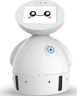 Educational Smart home robot voice interactive children’s educational companion remote control video robot